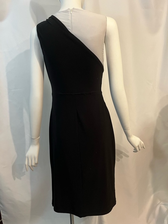 Ralph Lauren Black and White Sleeveless Dress - Picture 6 of 9